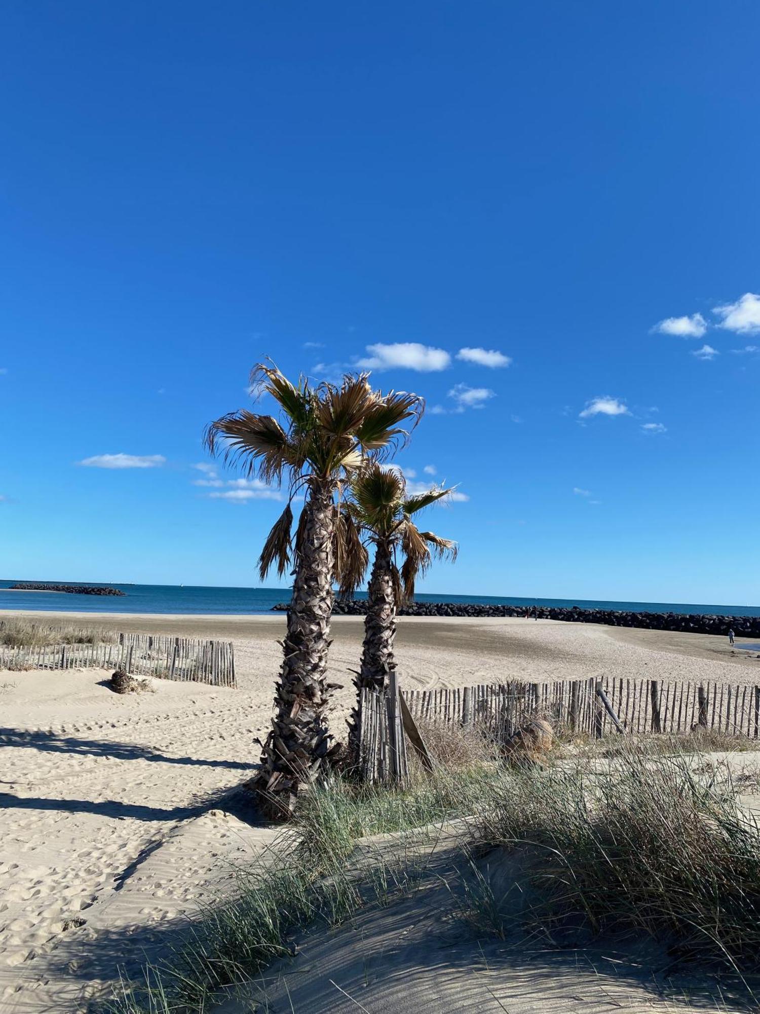 Appart - T3 - 6 Personnes - Golf Cap D'Agde Bagian luar foto